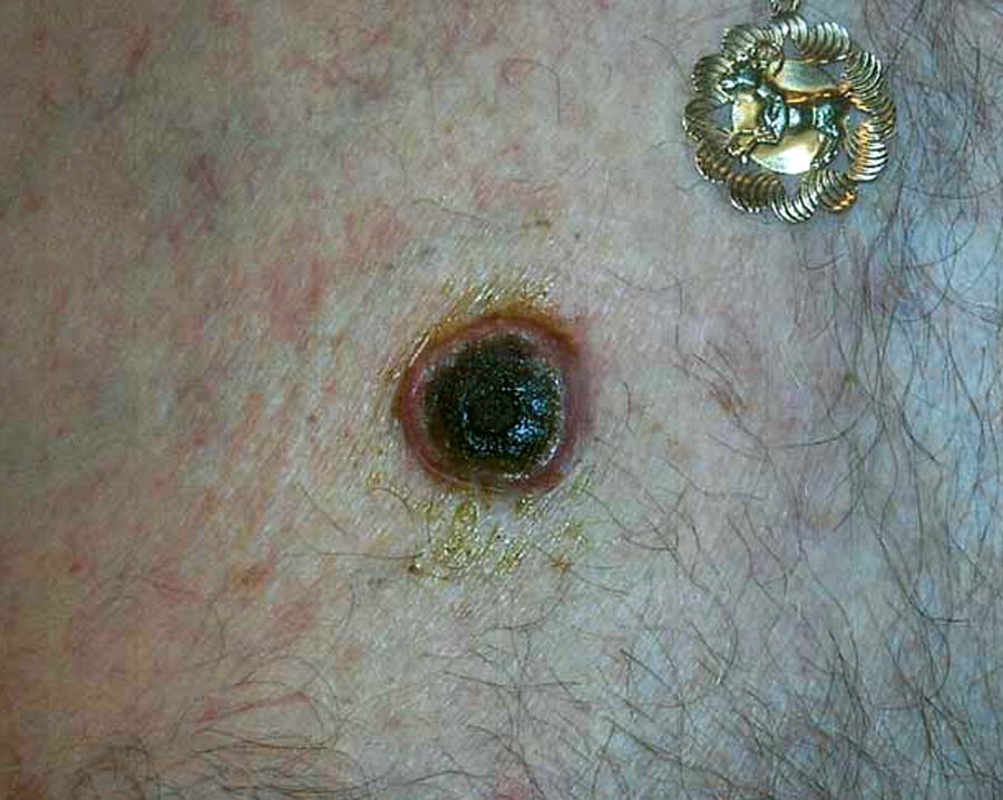 pic 7